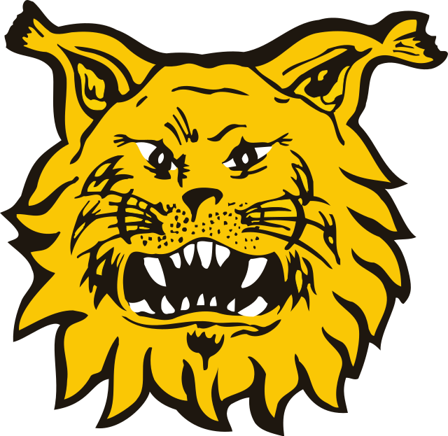 Ilves 